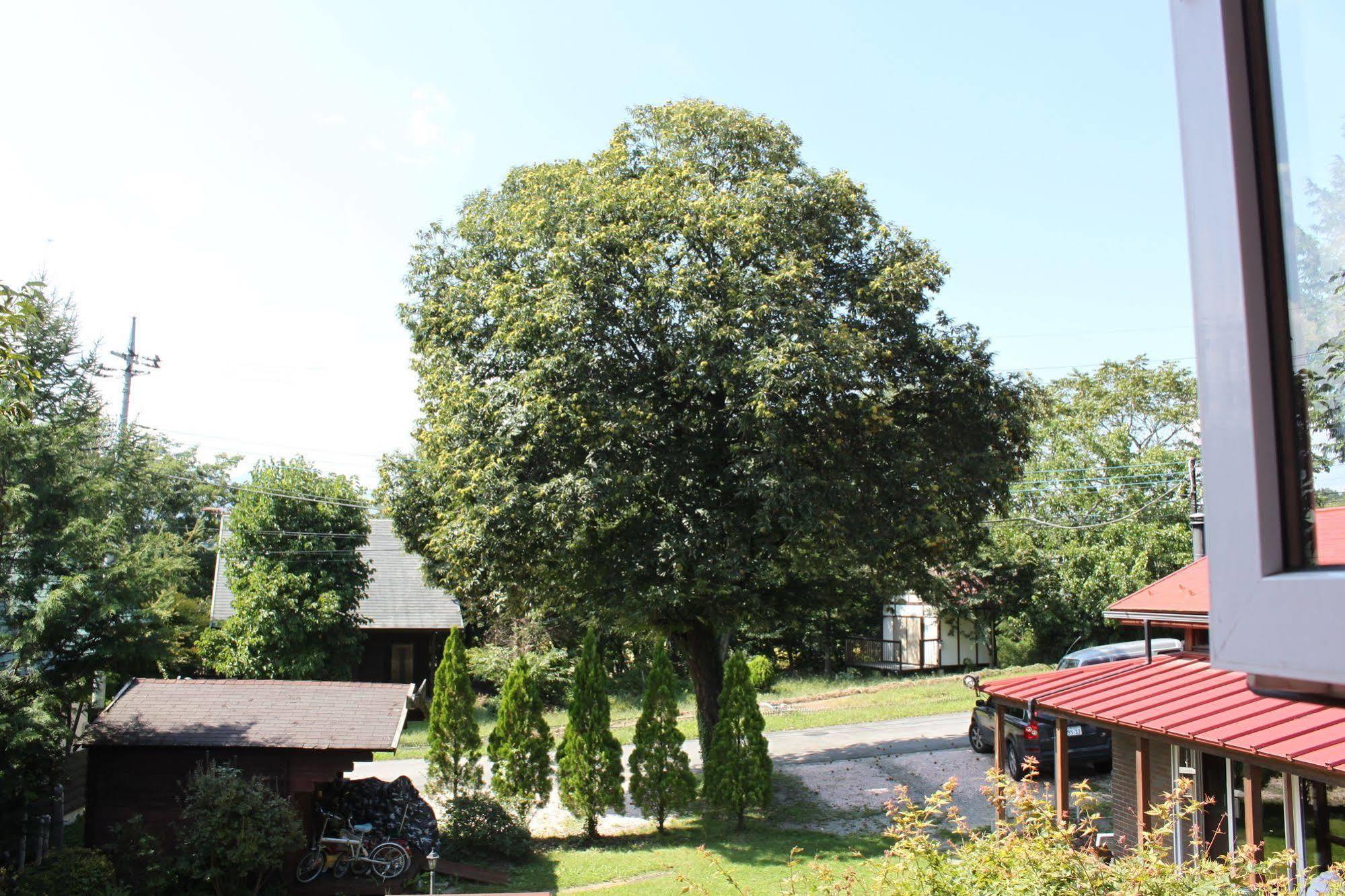 Pension Field Hokuto  Dış mekan fotoğraf